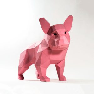 Francia Bulldog